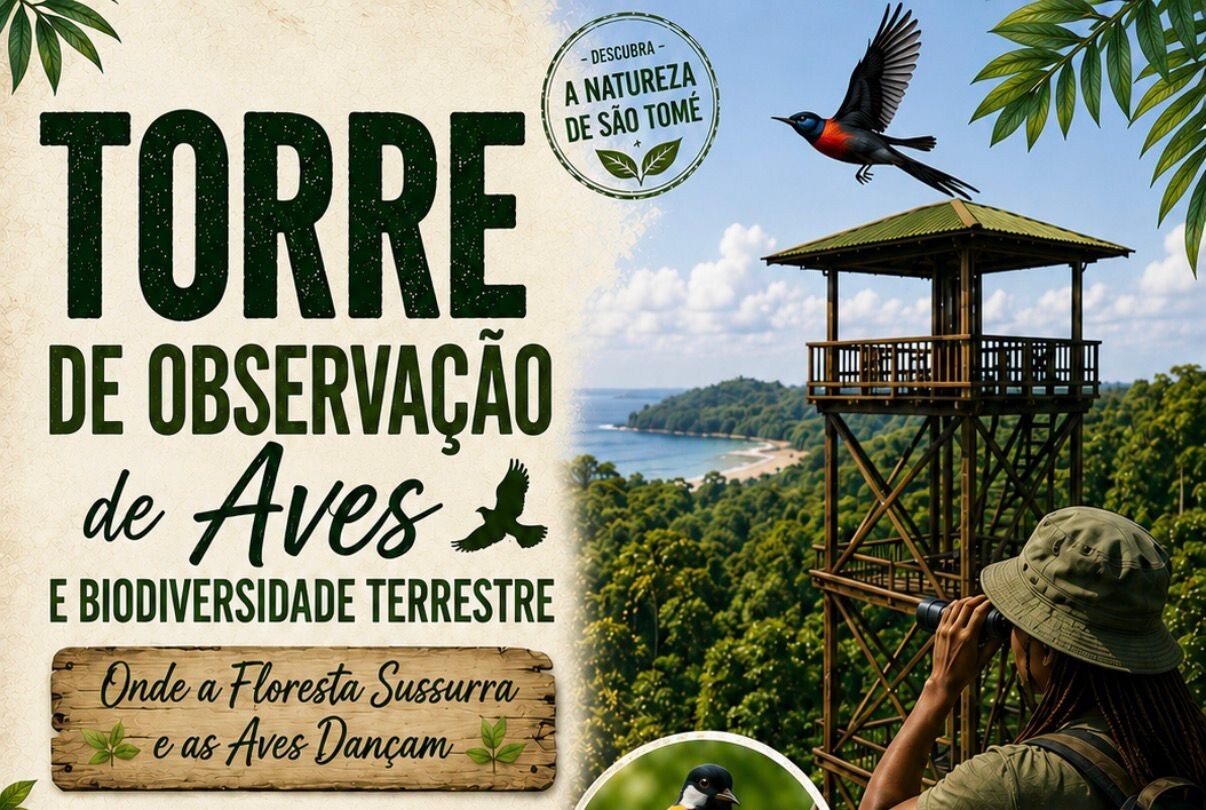 Torre de Observação de Aves e Biodiversidade Terrestre